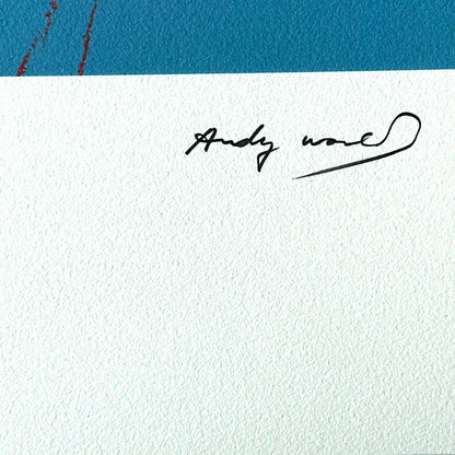 Andy warhol goethe